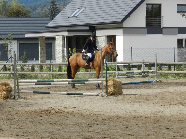 Babie Lato 2016